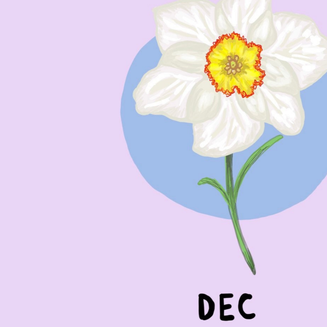 December Birth Flower Birthday Card