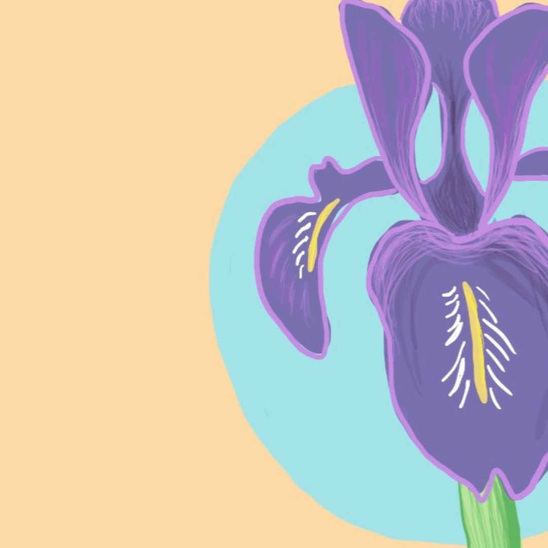 February Birth Flower Birthday Card