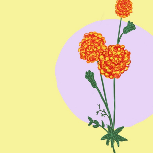 October Birth Flower Birthday Card