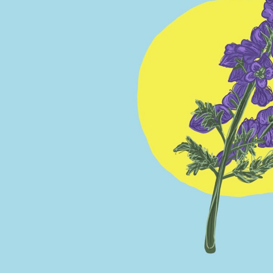 July Birth Flower Birthday Card
